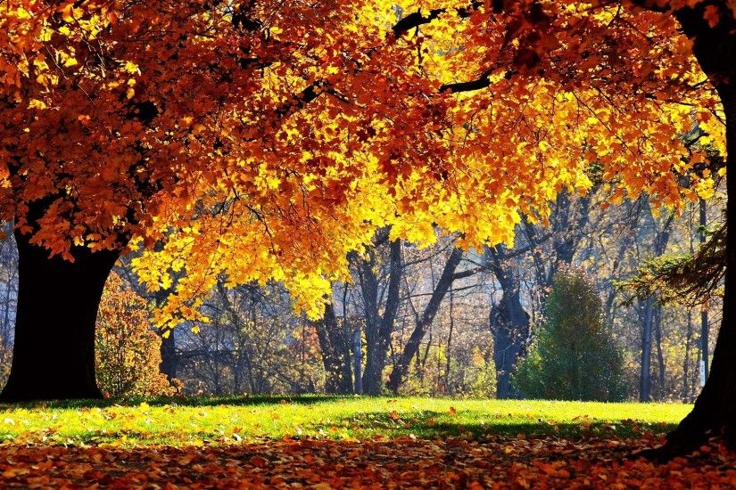 Full HD 1080p Autumn Wallpapers HD, Desktop Backgrounds 1920x1080, Images  and Pictures