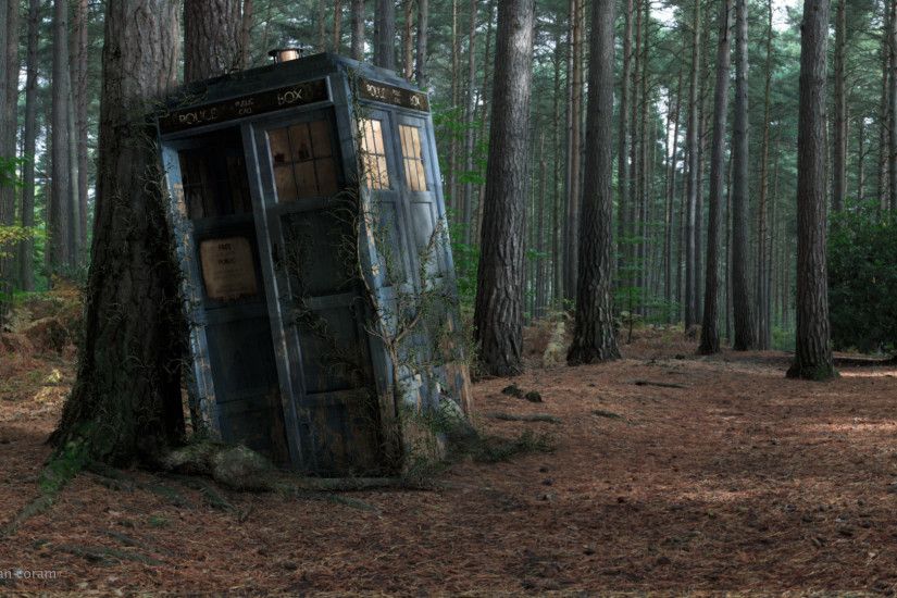 Doctor Who: Damaged Police Box