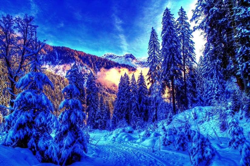 Winter Landscape Bright Background