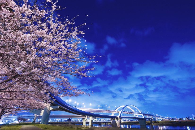 Brooklyn Bridge, desktop wallpapers free Cherry blossoms, Japan ...