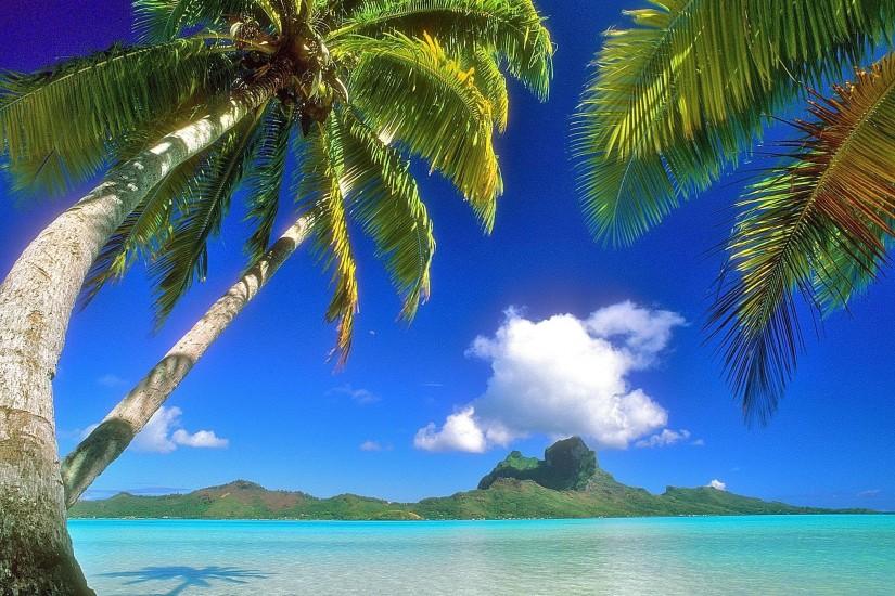 Hawaiian Background For Green Screen