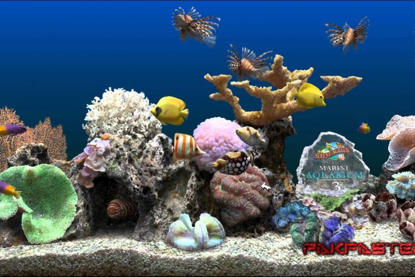 Marine Aquarium Screensaver v3.2.5991+serials [HD] 1080P - YouTube