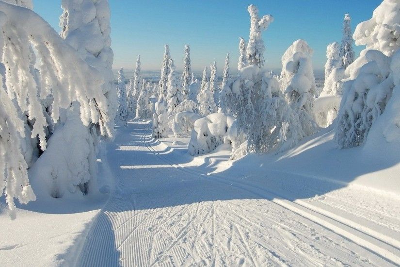 Natue Snowy Snow Scene Winter White Path Trees Desktop Wallpaper