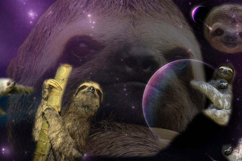 Sloth - Free Weird Desktop Wallpapers