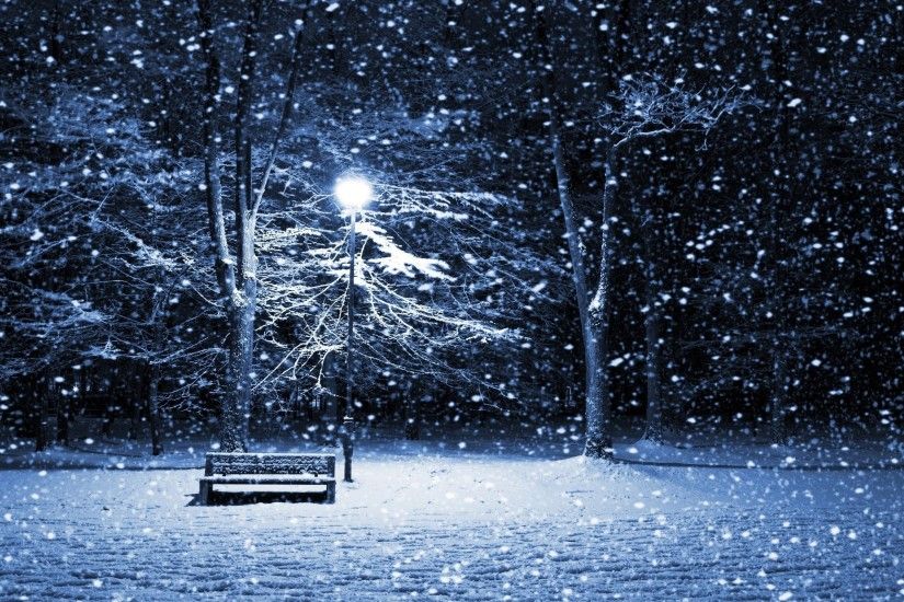 Winter, snow, tree, blizzard, snowstorm, bench, lantern