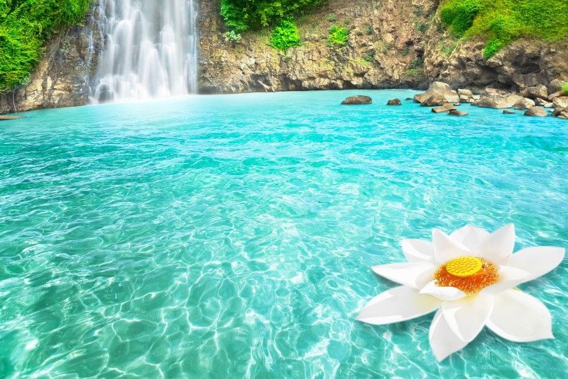 waterfall lotus flower. Â«Â«