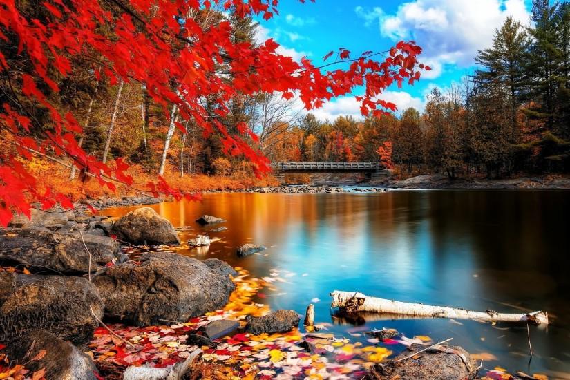 HD Lake Autumn Beauty