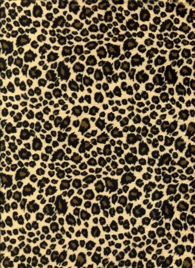 Leopard Backgrounds - Wallpaper Cave