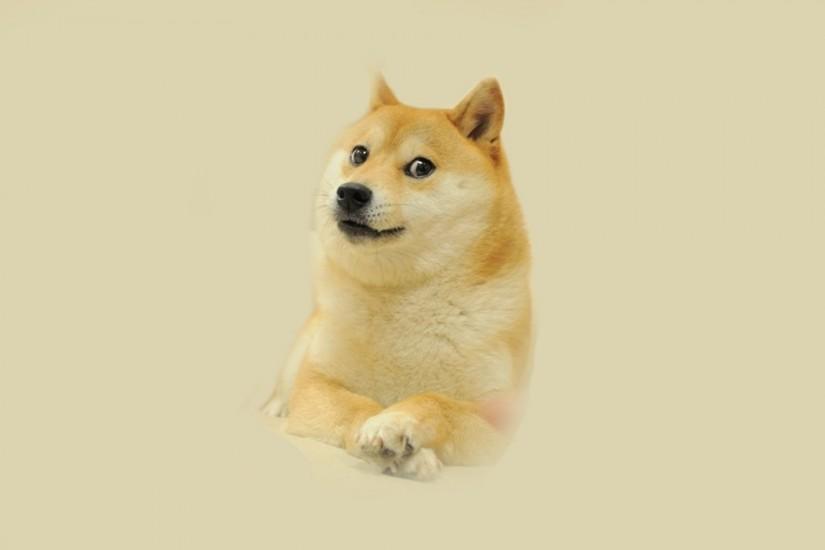 1920x1200 px Backgrounds In High Quality - doge pic by Elvis Round for :  pocketfullofgrace.
