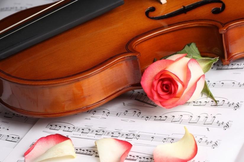 Violin and rose on music sheet Photography HD desktop wallpaper, Rose  wallpaper, Sheet wallpaper, Violin wallpaper - Photography no.