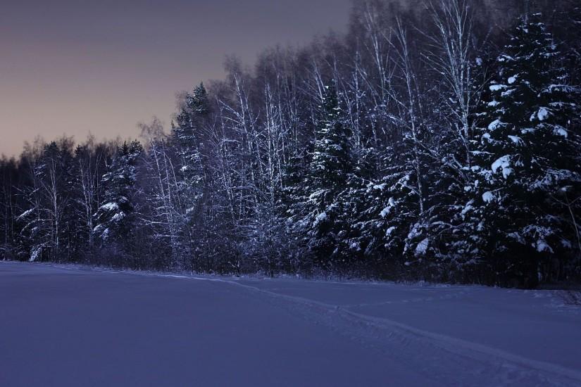 Download Wallpaper 1920x1080 field, trees, snow, winter, night Full HD .