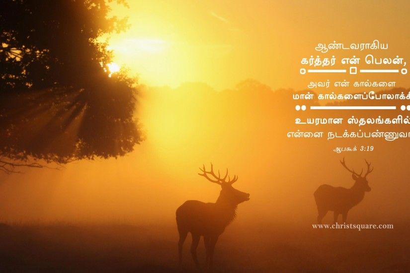 Jesus Christ Wallpaper With Bible Verse In Tamil - Ma-aM