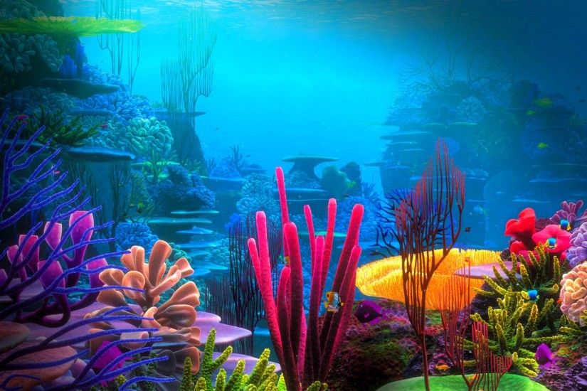 Oceans - Underwater World Beautiful Ocean Corals Water Coral Pictures for  HD 16:9 High