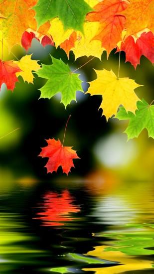 Autumn iPhone 6 Plus Wallpaper 13840 - Nature iPhone 6 Plus Wallpapers # iPhone #6