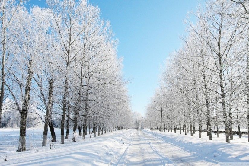 ... Snow Wallpapers | HD Wallpapers Pulse ...