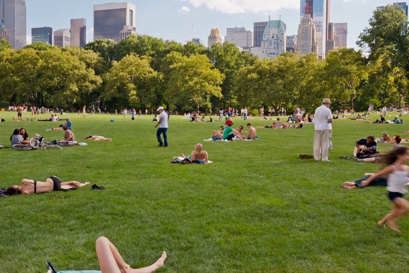 people tanning on Central Park summer day with Manhattan buildings in  background, 1080p HD Stock Video Footage - VideoBlocks