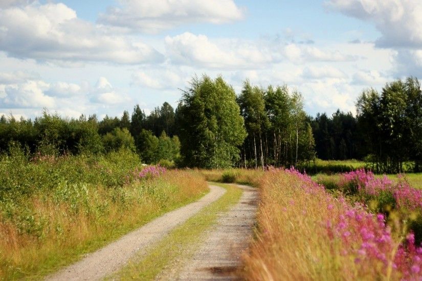 Preview wallpaper road, country, trees, flowers, roadside, sky, clouds  1920x1080
