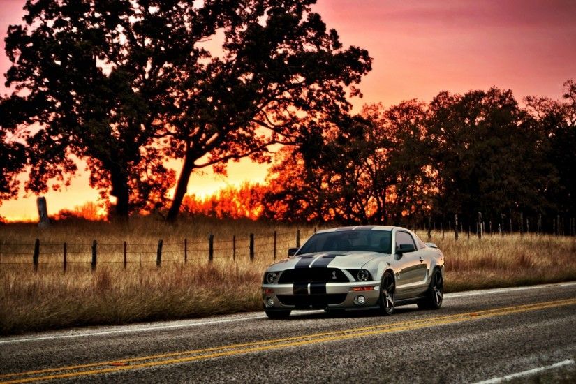 Vehicles - Ford Mustang Shelby GT500 Wallpaper