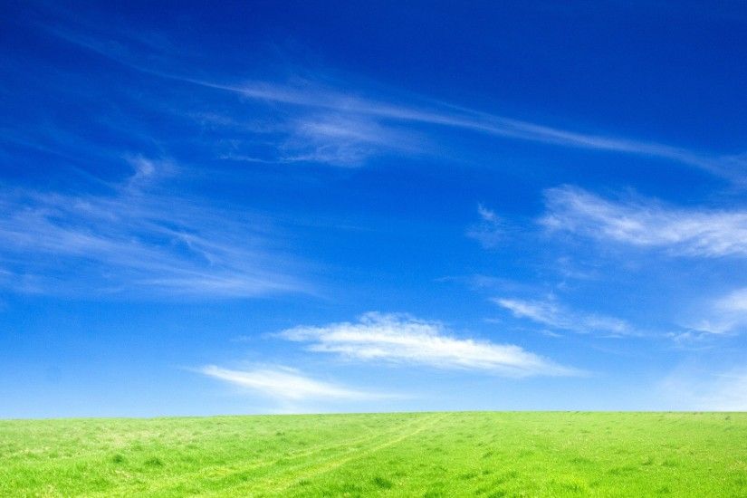 Blue Sky and Green Grass Wallpapers