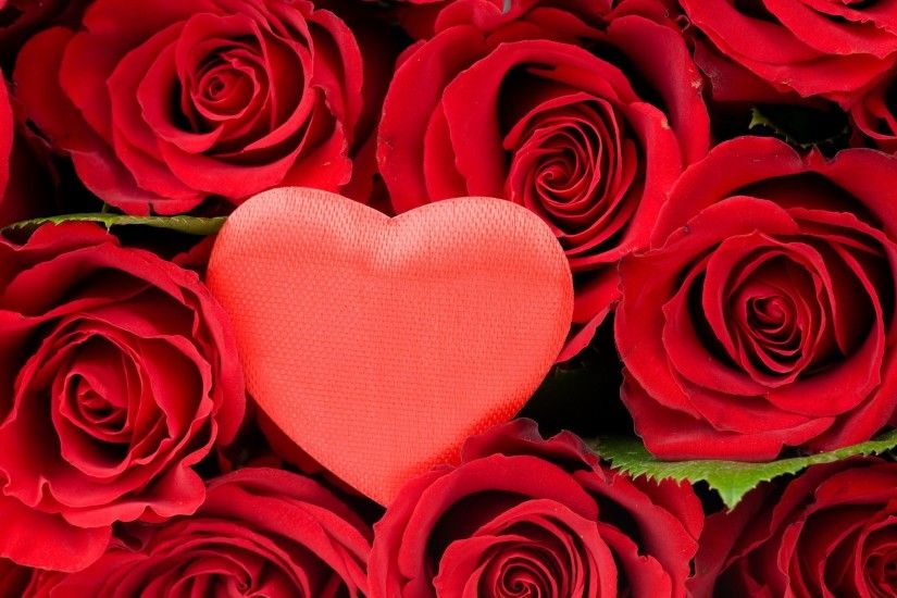Red Rose And Heart Pictures Gallery