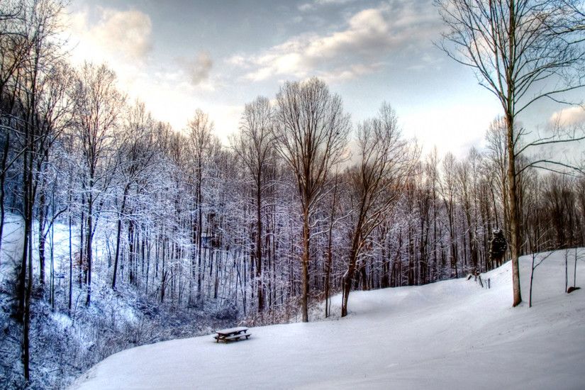 Beautiful Winter Scene HD desktop wallpaper : Widescreen : High .