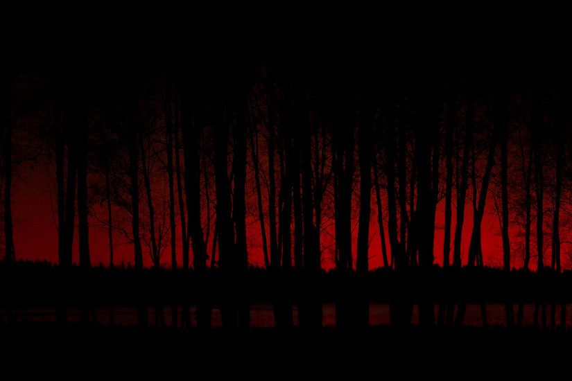 Dark - Forest Wallpaper