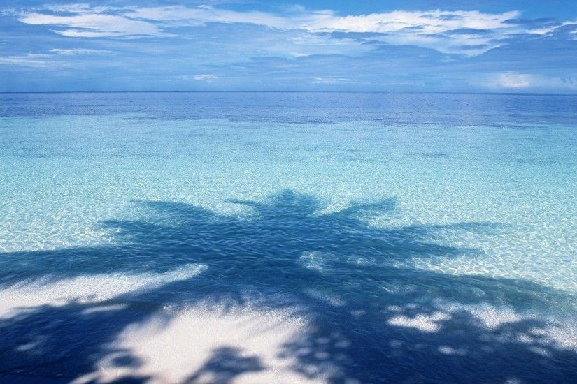 Beach-wallpaper-desktop-background-pixel-shadow-tree-sea-