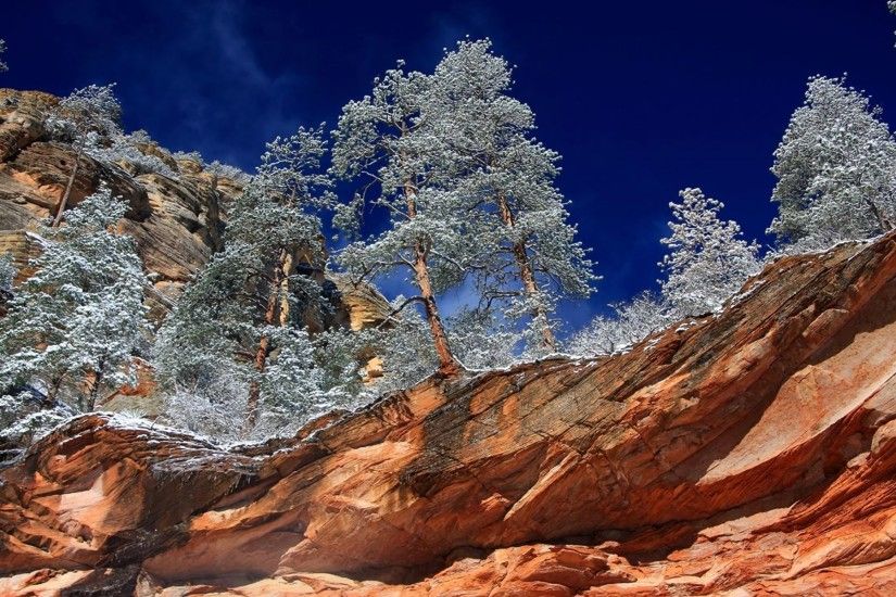 Earth - Canyon Earth Oak Creek Canyon Sedona Arizona Winter Tree Wallpaper