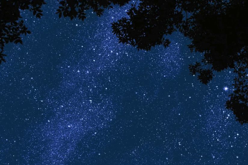 Time lapse of stars moving across the sky in front of tree branches blowing  in the