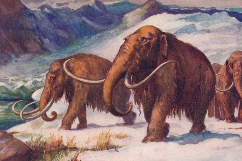 Cloning Woolly Mammoths and Global Warming Whats the Connection