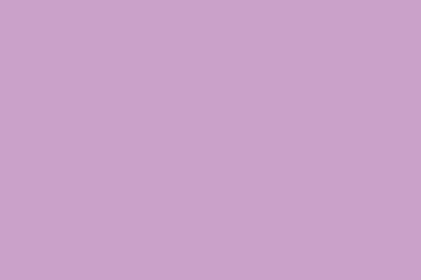 <b>Lilac Background wallpaper</b> | 2560x1600 | #23193