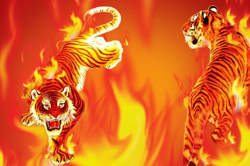 Tiger Flame Ii HD Desktop Wallpaper : Widescreen : High Definition