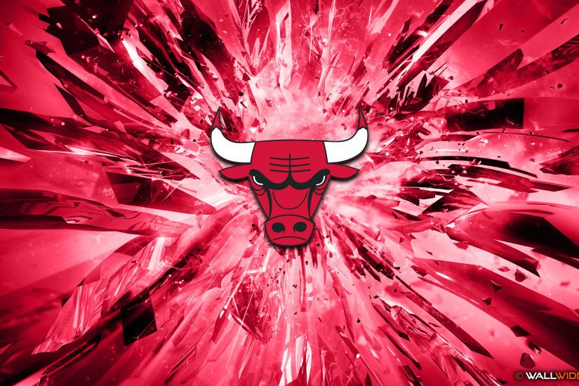 Chicago Bulls Logo 2016 Cover HDQ Cover