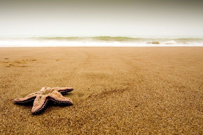 Wallpaper Starfish, Coast, Beach, Sand, Particles, Cloudy HD, Picture, Image