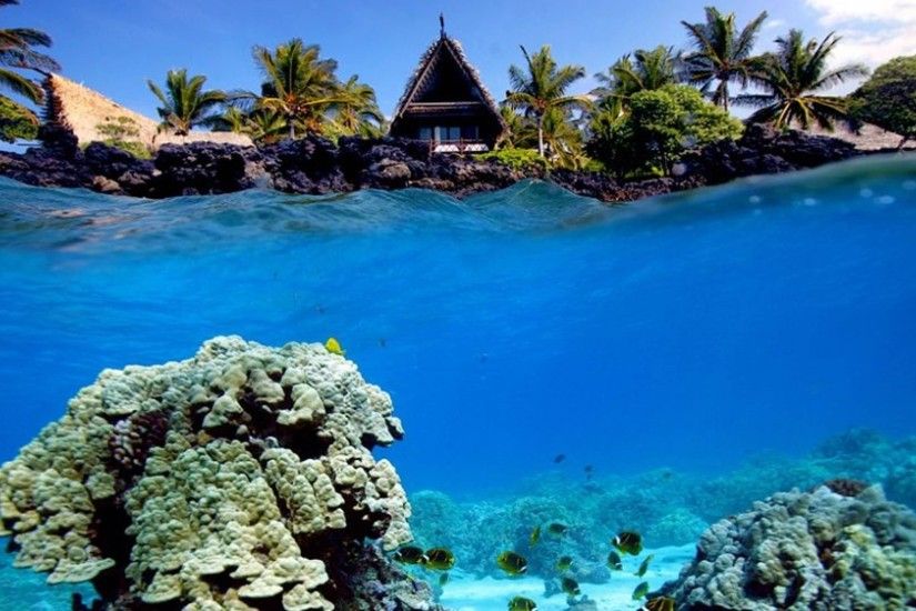 Underwater shot of coral reef and beach hut wallpaper