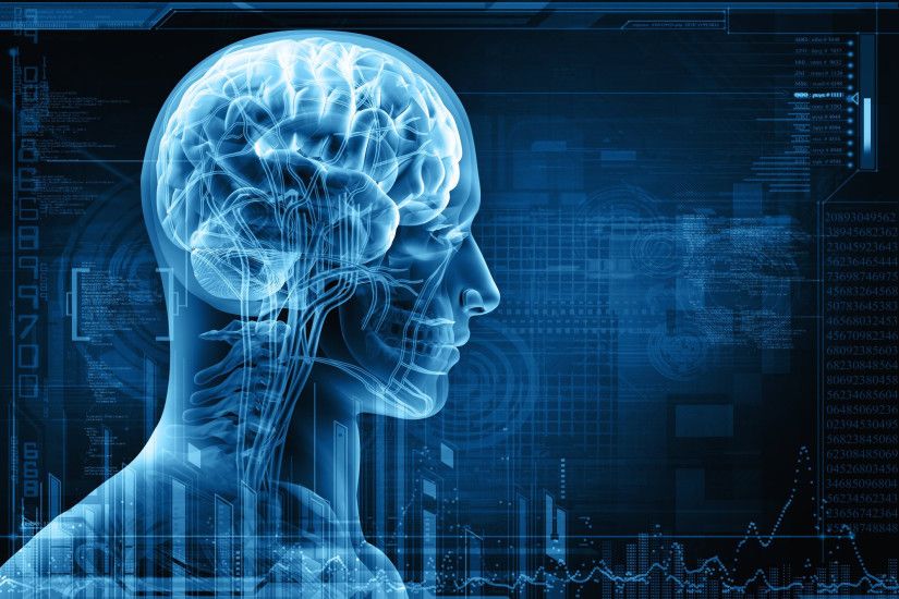 Wallpaper Of Brain Parts 3D Brain Anatomy Medical Head Skull Digital 3 D X  Ray Xray