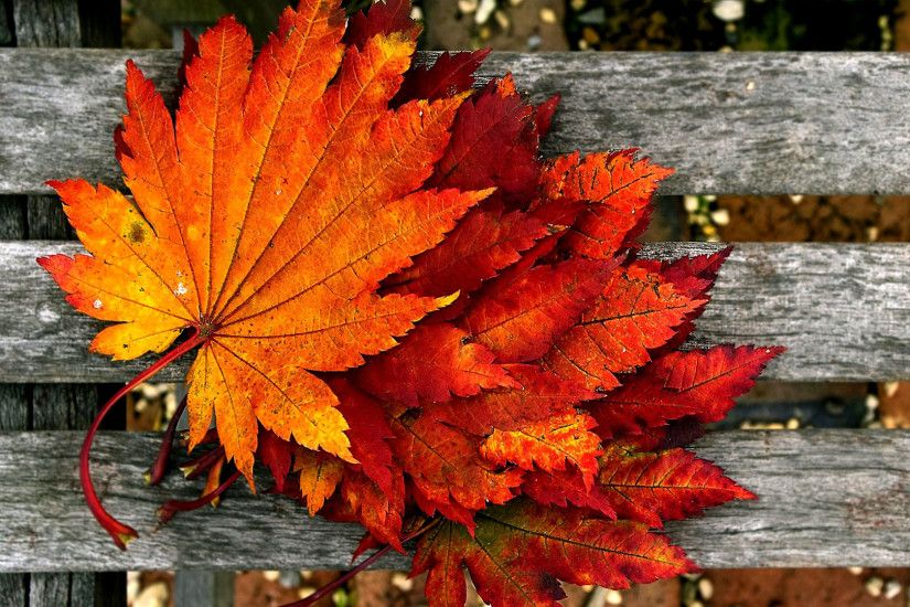 Autumn Wallpapers Download (37 Wallpapers) – Adorable .