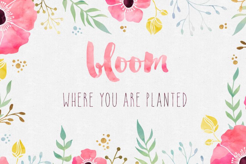 bloom-where-you-are-planted-desktop
