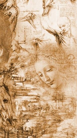Vitruvian Man Leonardo Da Vinci Anatomy (1080x1920p ... Anatomy Wallpapers  Hd