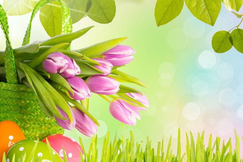 Easter Tulips Wide Desktop Background wallpaper free