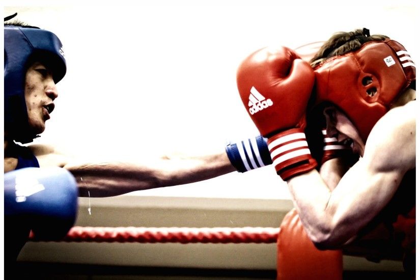 <b>Boxing</b> Gloves Punch <b>wallpapers</