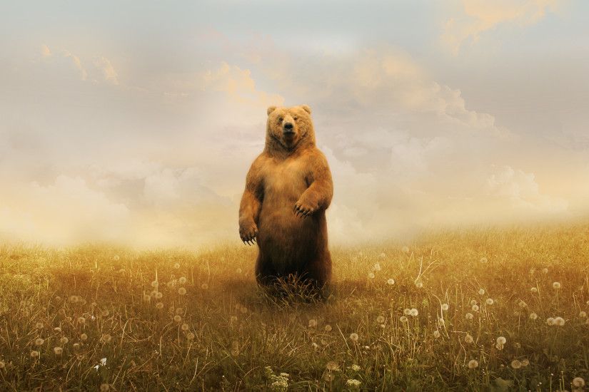 bears, Landscape, Grass, Adobe Photoshop, Animals, Artwork, Grizzly Bears  Wallpaper HD