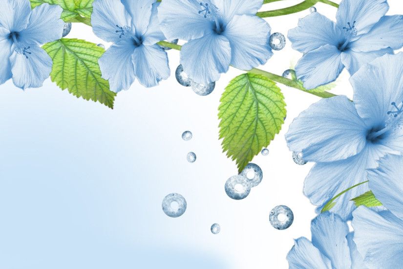 Blue Flower Wallpaper Photo