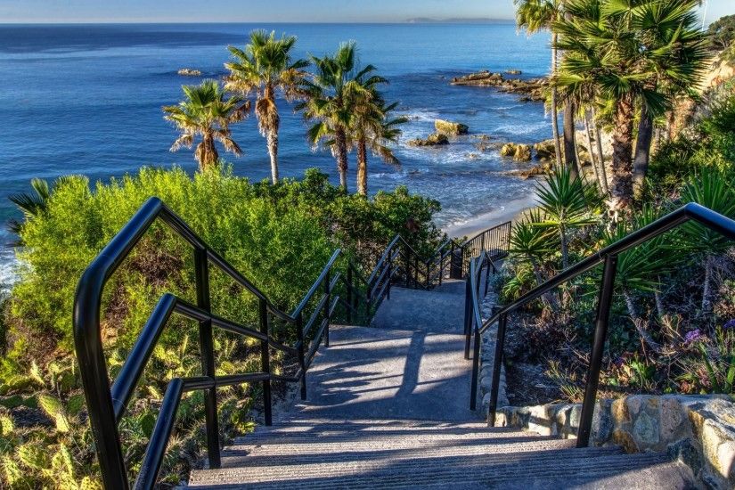 united states sea coast laguna beach california palm stones stairs a step  descent horizon