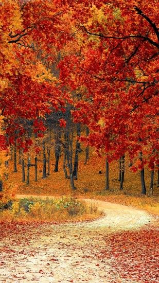 The Best Fall iPhone XS Wallpapers - Great Autumn Backgrounds for your  smartphone. Get inspiration