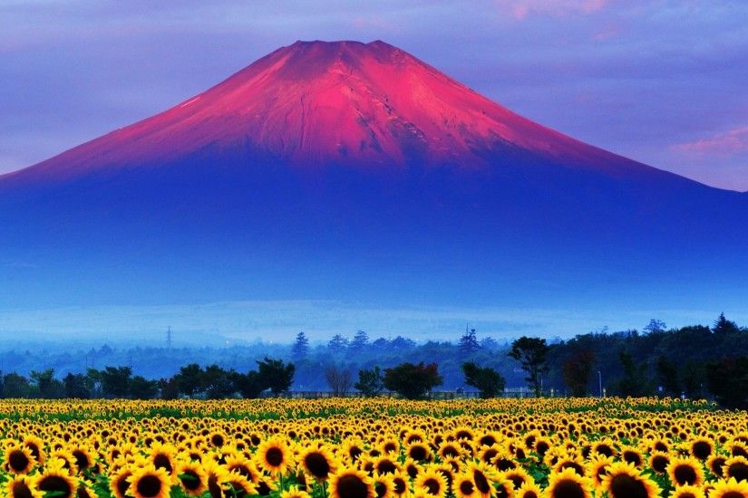 Fuji Mountain Japan Landscape Wallpaper