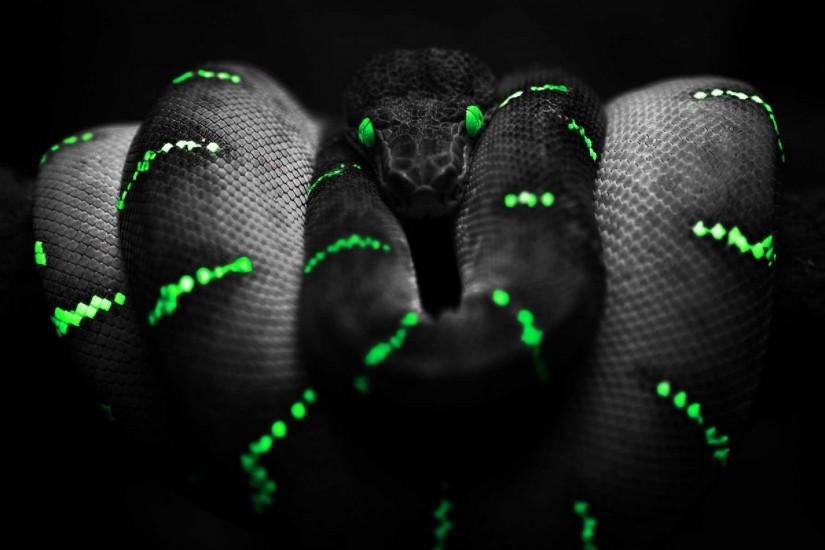 Awesome Snake Wallpaper in 3d