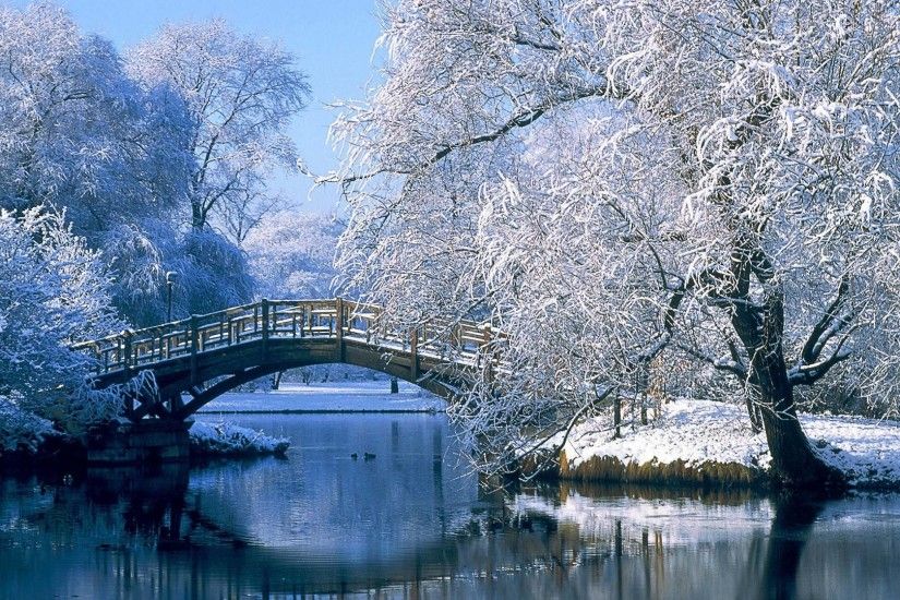 Winter Nature Wallpapers Free