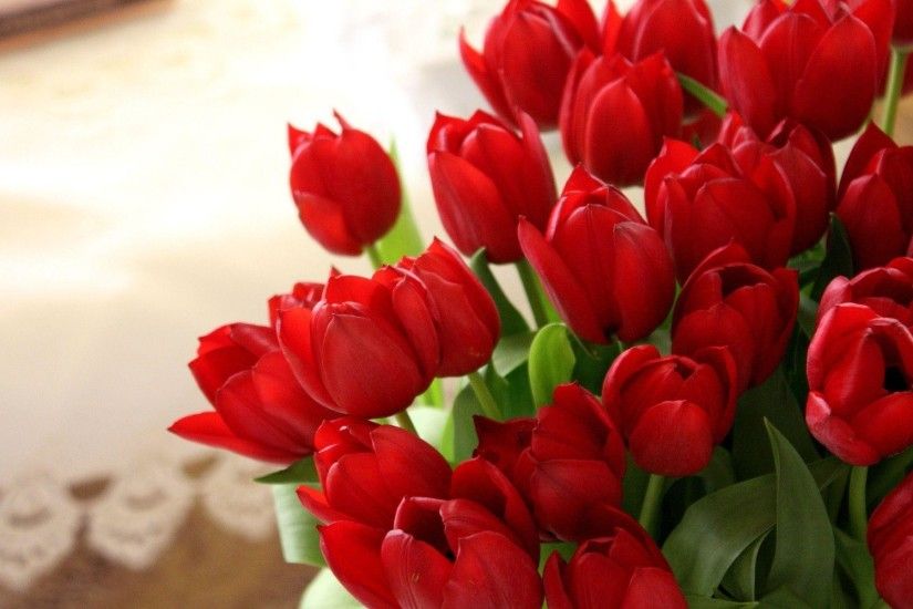 HD Red Tulips / Wallpaper Database