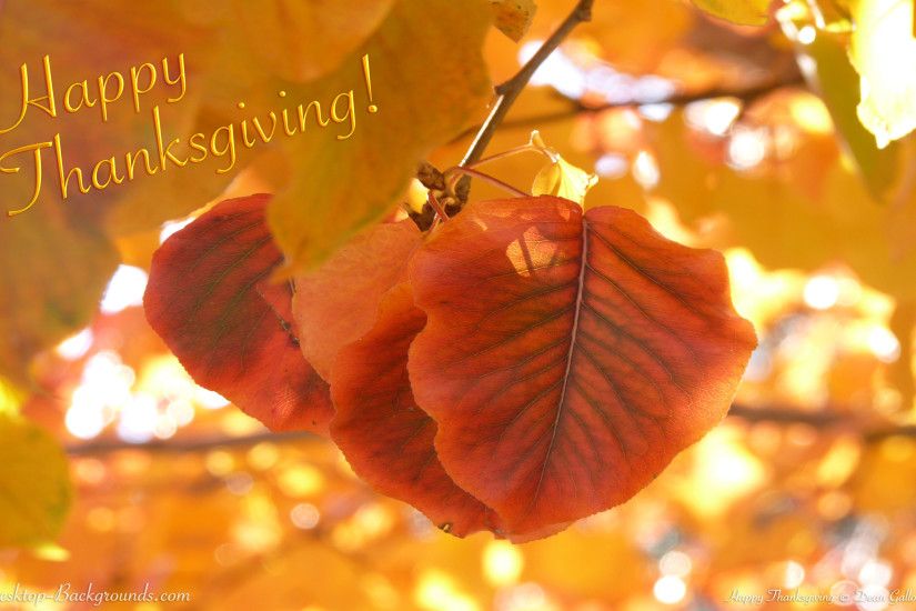 ... Thanksgiving Wallpaper for Computer 62 images